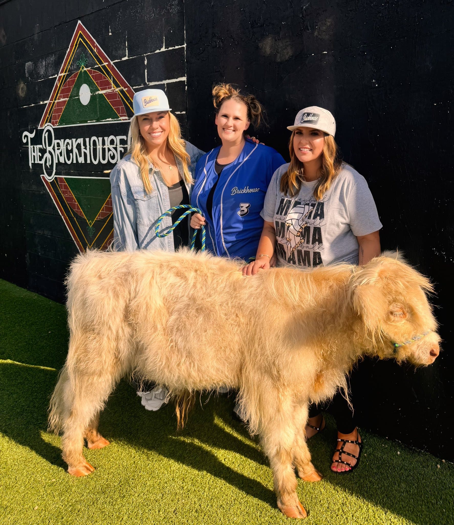 Three women pose with a fluffy blonde Highland calf in front of a Brickhouse mural.